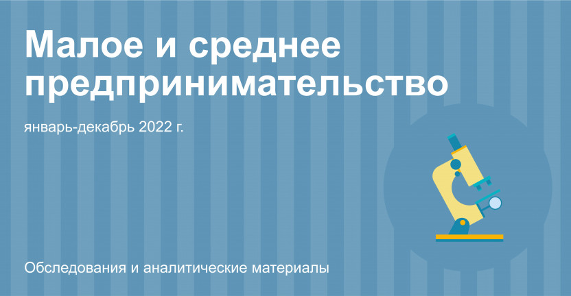 Основные показатели деятельности малых предприятий (без микропредприятий) Москвы за январь-декабрь 2022 года